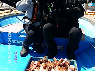 생활낚시 조황입니다