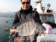 서울 조사님 들 조황