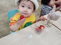 4/25 딸기밭에 다..
