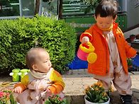 4/16 봄맞이 꽃과..