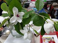 사월초팔일 산행에서~