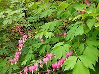 이번 번개 산행에서