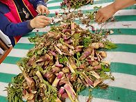 토요일 및 벙개 산행에서