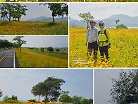 20260524 (일) 동래 파전..