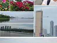 20260526 (화) 텃새가 된..
