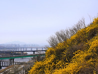 2026/.3/29 응봉산 안효진..