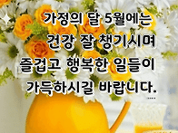 오월의 편지/소리새