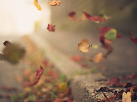 신문에 나온 알아두면 좋을..