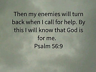 Psalm 56:9