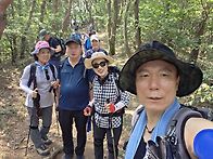 8월24일 서산 천년미소길