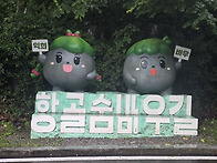 빗속에서도 즐거웠습니다