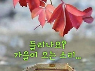 가을 초입