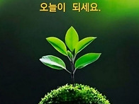 어제보다 더 ~~~~