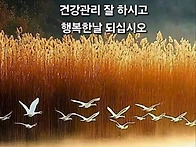 이제 가을과도 이별 ~~