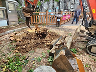 [1종나무병원/수목방제/수..