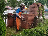 [1종나무병원/조경관리/수..