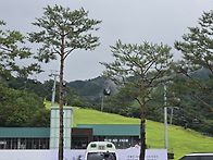 20260706(월)용인양평춘천..