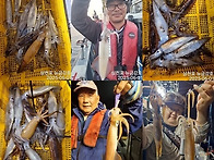 뉴금강호) 한치 원정 다녀..