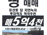 [둔산동땅(답)매매]둔산동..