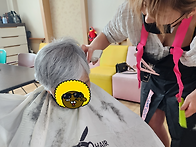 ✂..