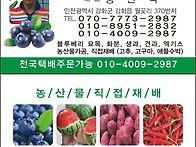 강화교동왕새우튀김ㆍ블루..