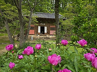 일운스님과 함께하는 불교..
