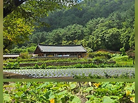 일운스님과 함께하는 불교..