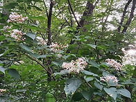 바람나는 계절.