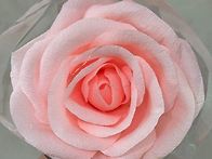 🌹
