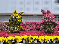 12월17일 연주곡을 신청 ..