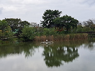 11월19일 연주곡을 신청 ..