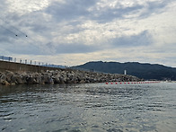 삼척 장호항