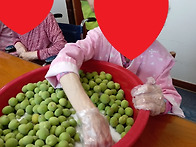 &#127824;매실청 담그기&#127819;