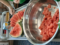 🍉㇭..