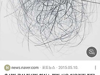 철쭉 진달래꽃 즐..