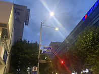 20260703 울집 양님들2