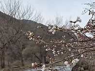 2025.4.4~5 남원시 산내면..