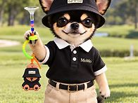 티걸이 14개 한세트 만원 ..