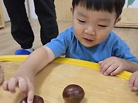 10월 2주 풀잎1,2반 이야..
