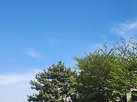 4월 4주 - 리허설 수