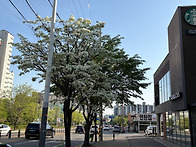 114회 정기발표회