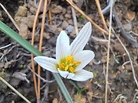 3월25일 수 연습모임