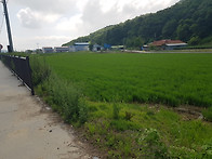 석모도 강화군 삼산면 석모..