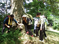 2026-06-27 도비산-서산한..