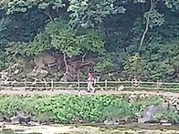 정기산행
