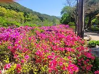 힐링산악회 정기산행(모악..