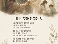닿는 것과 만지는..