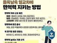 3/4 면역력