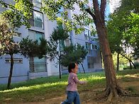 🍁 가을 찾아보