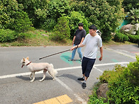 20250609(반려동..
